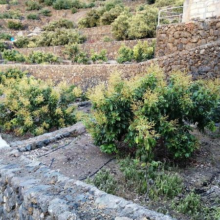 דירות לה אורוטבה Independent House In Rural Setting מראה חיצוני תמונה